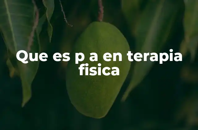 Que es P a en Terapia Fisica