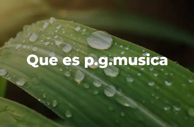 Que es P.g.musica