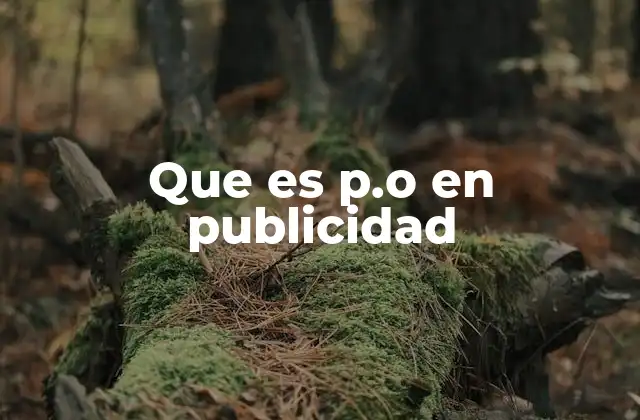 Que es P.o en Publicidad