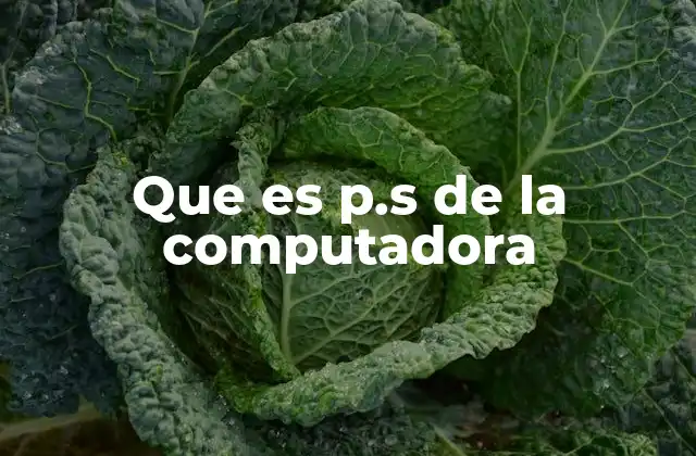 Que es P.s de la Computadora