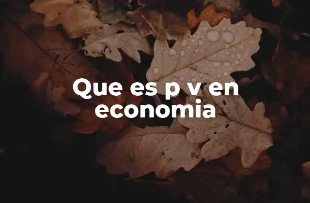 Que es P V en Economia