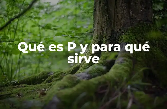 Qué es P y para Qué Sirve