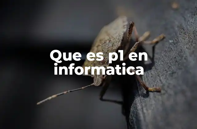 Que es P1 en Informatica