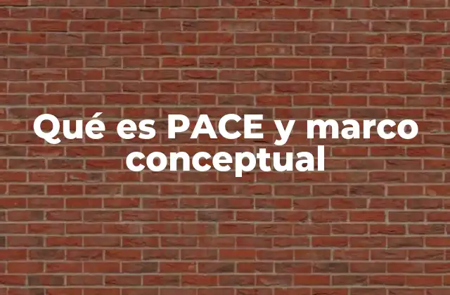 Qué es Pace y Marco Conceptual