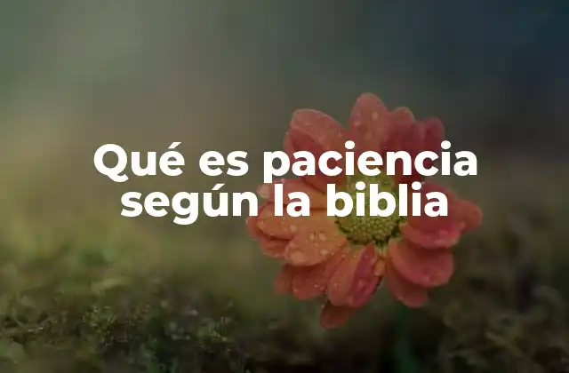 Qué es Paciencia según la Biblia
