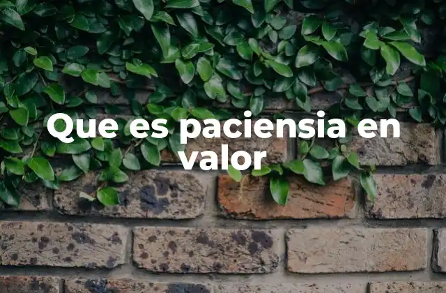 Que es Paciensia en Valor