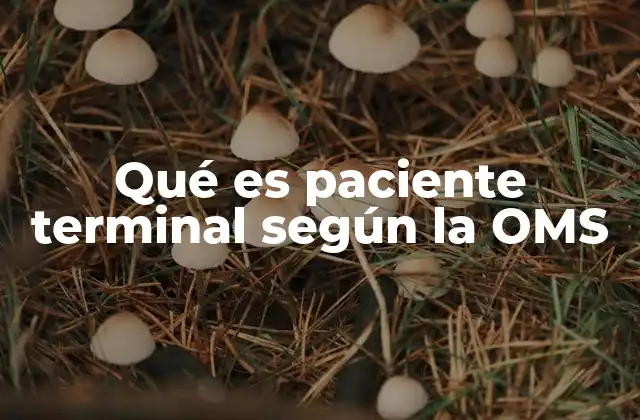 Qué es Paciente Terminal según la Oms
