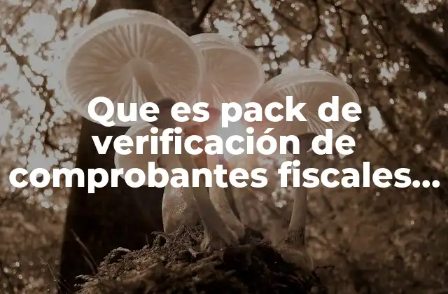 Que es Pack de Verificación de Comprobantes Fiscales Digital