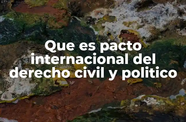 Que es Pacto Internacional Del Derecho Civil y Politico