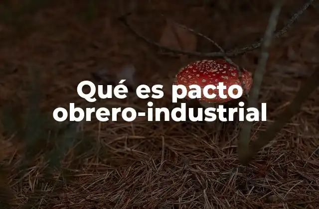 Qué es Pacto Obrero-industrial