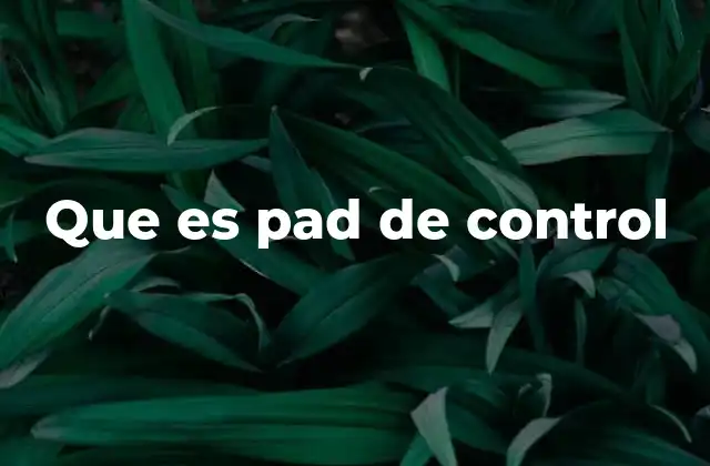 Que es Pad de Control