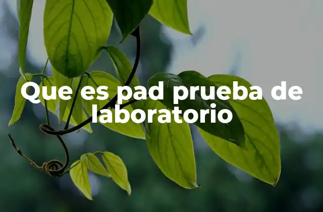 Que es Pad Prueba de Laboratorio