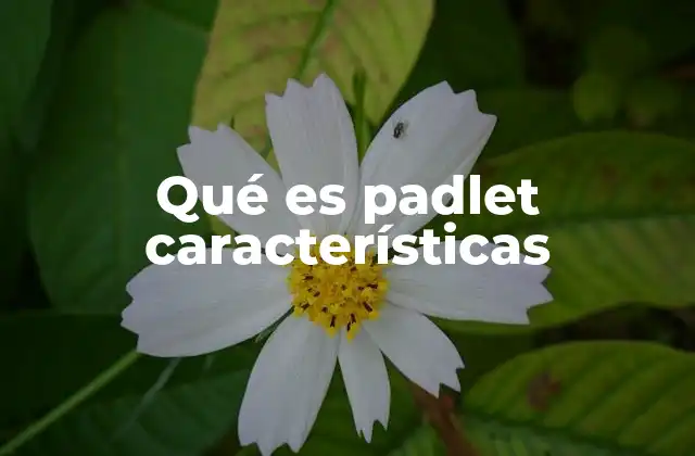 Qué es Padlet Características