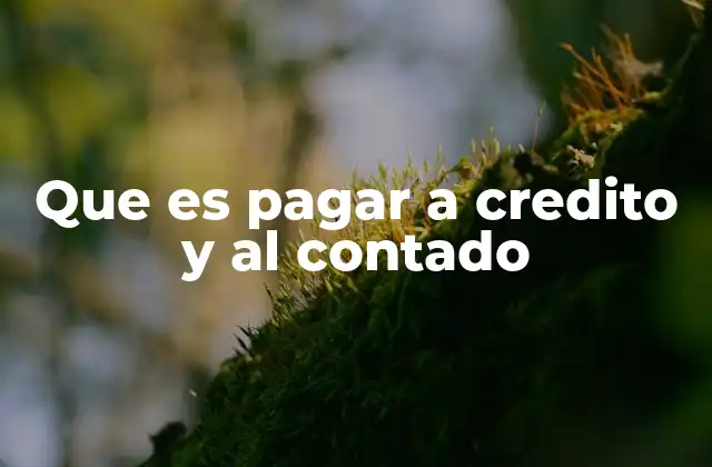 Que es Pagar a Credito y Al Contado