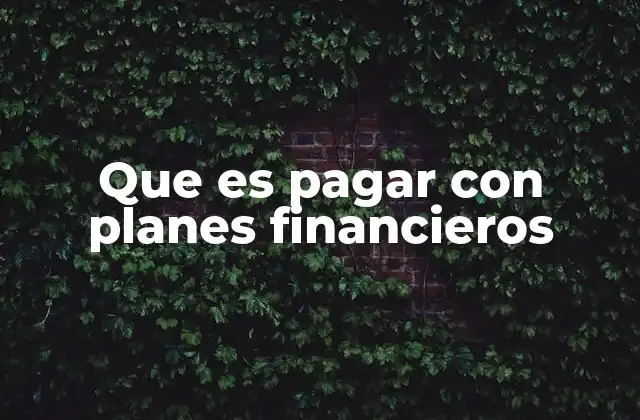 La importancia de los esquemas de pago diferido en el consumo moderno