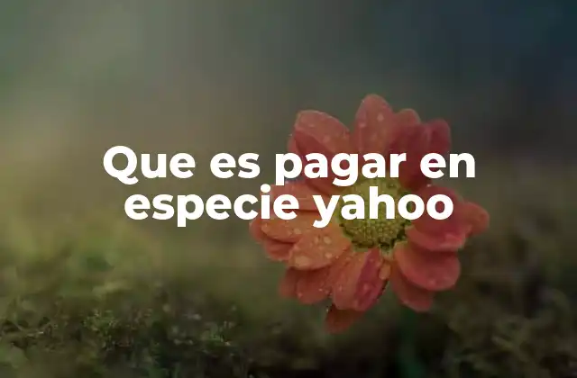 Que es Pagar en Especie Yahoo