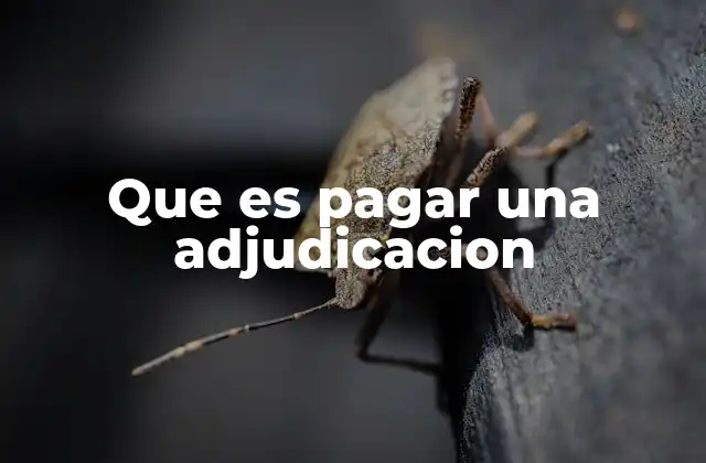 Que es Pagar una Adjudicacion