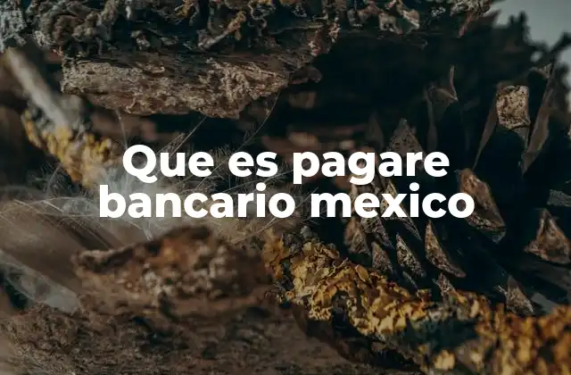 Que es Pagare Bancario Mexico