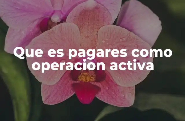 La importancia de los pagarés en la estructura contable