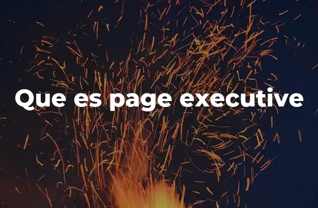 Que es Page Executive