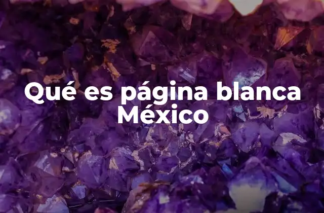 Qué es Página Blanca México