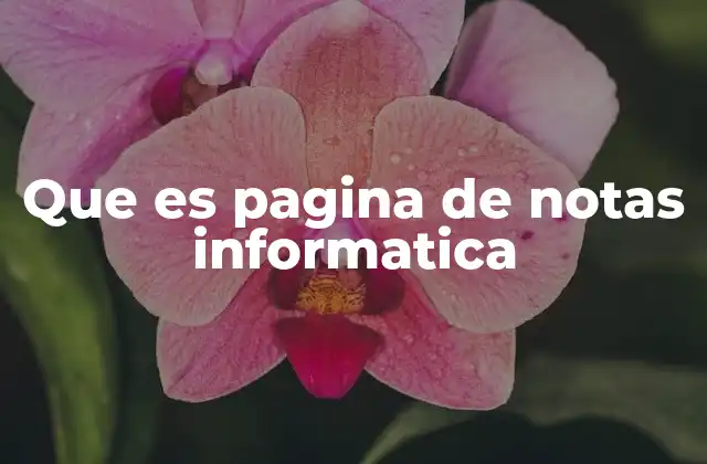 Que es Pagina de Notas Informatica