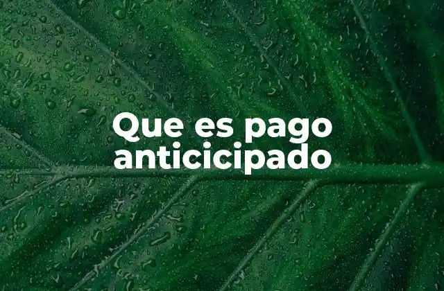 El papel del pago anticipado en transacciones comerciales