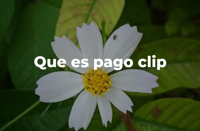 Ventajas del uso de pago clip en el día a día