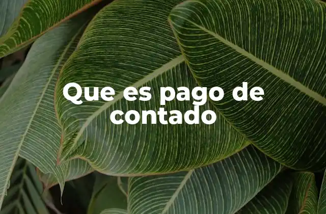 Que es Pago de Contado 2 Formas de realizar un pago de contado
