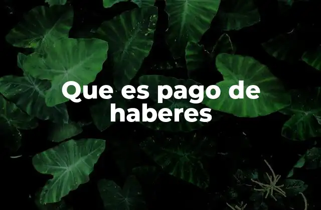 Que es Pago de Haberes