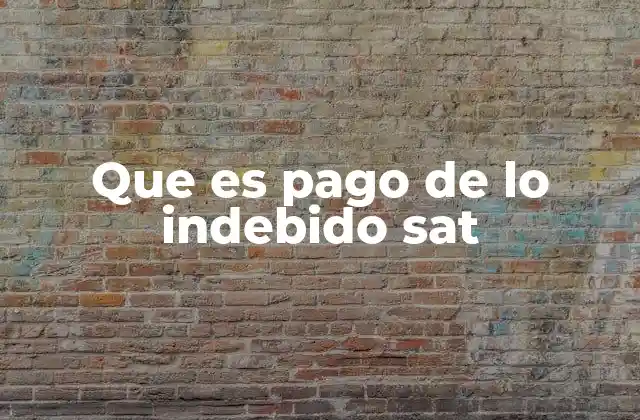 Que es Pago de Lo Indebido Sat 2 Cómo se identifica un pago de lo indebido