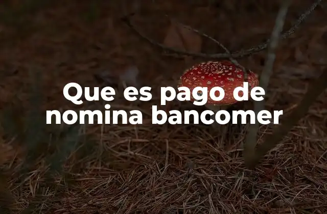 Que es Pago de Nomina Bancomer