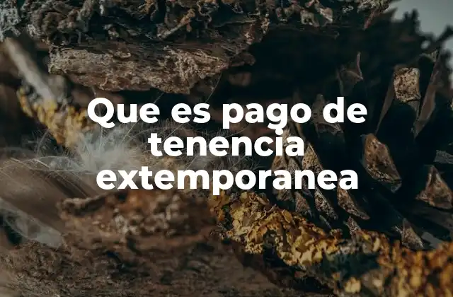 Que es Pago de Tenencia Extemporanea