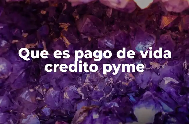 Que es Pago de Vida Credito Pyme