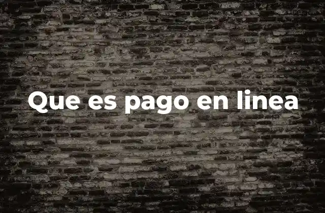 Que es Pago en Linea