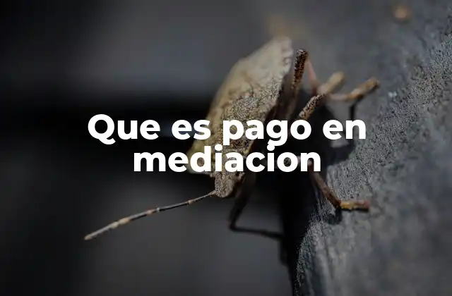 Que es Pago en Mediacion