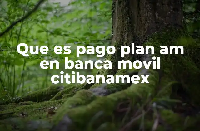Que es Pago Plan Am en Banca Movil Citibanamex