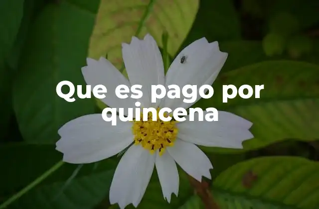 Que es Pago por Quincena