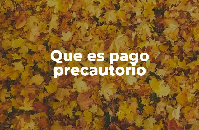 Que es Pago Precautorio