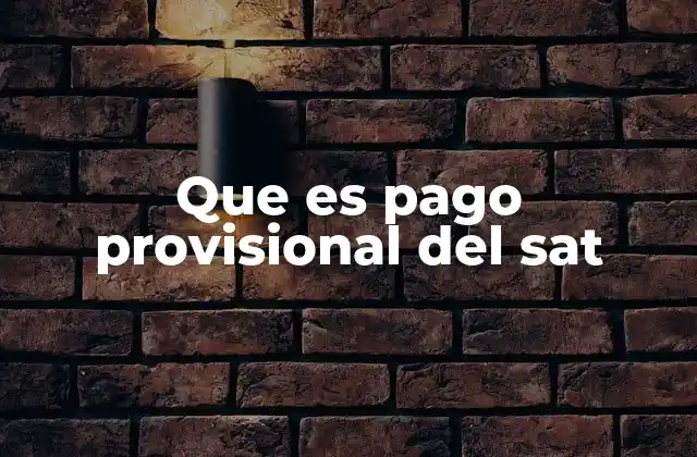 Que es Pago Provisional Del Sat