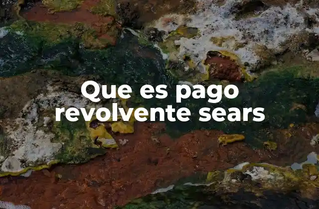 Que es Pago Revolvente Sears