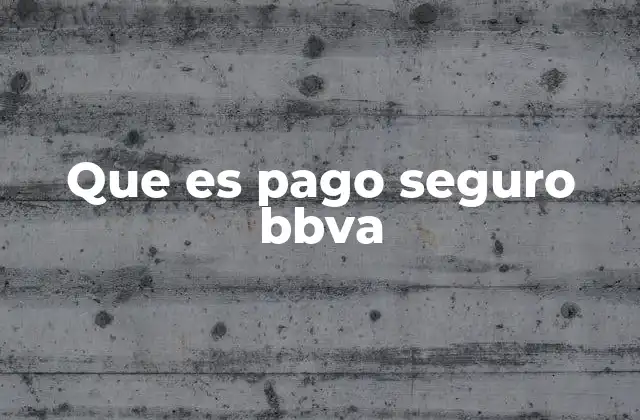 Que es Pago Seguro Bbva