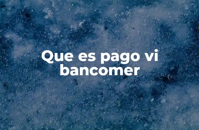 Que es Pago Vi Bancomer