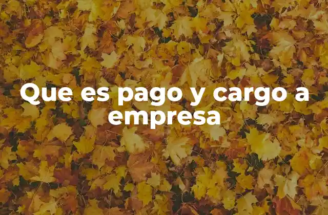 Que es Pago y Cargo a Empresa