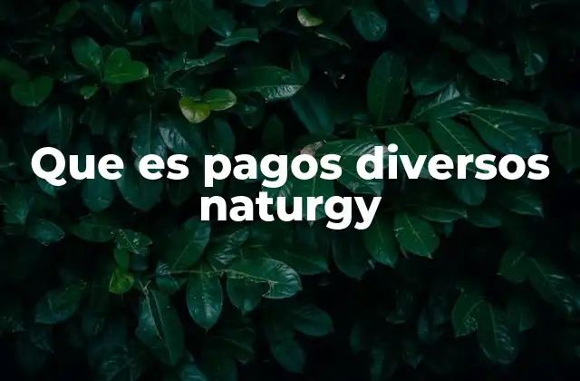 Que es Pagos Diversos Naturgy