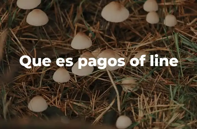 Que es Pagos Of Line