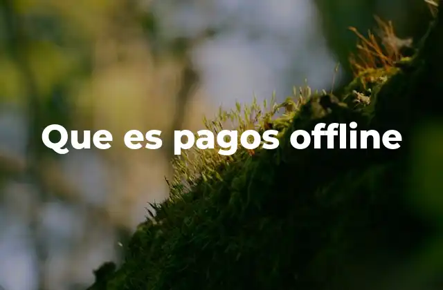 Que es Pagos Offline
