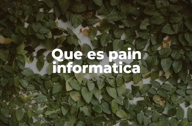 Que es Pain Informatica
