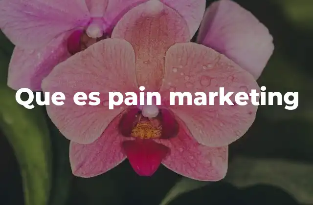 Que es Pain Marketing