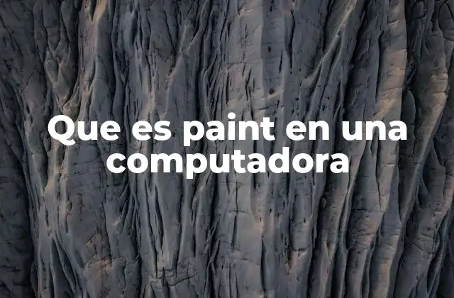 Que es Paint en una Computadora